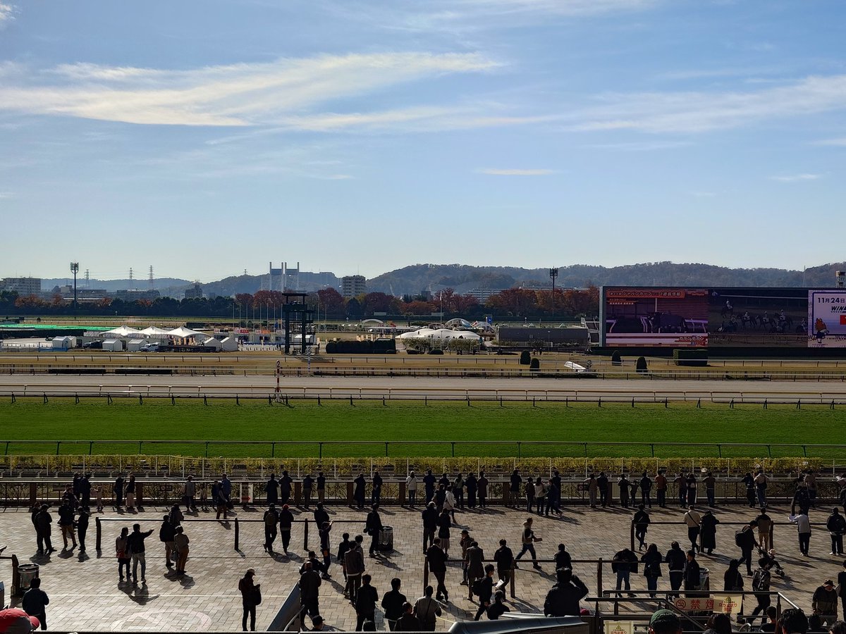 sasuke_829's tweet image. 現地行くと負けてる気がするから頑張る