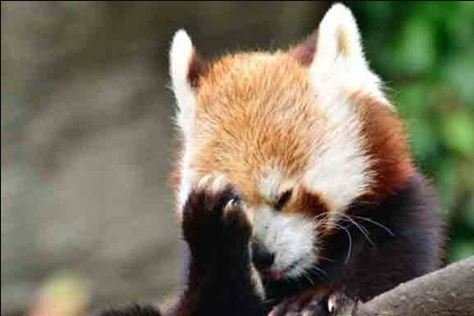 CDNPosts's tweet image. Dem Sen. Slotkin, Who Pushed Video Telling Troops To Disobey Trump, Forced To Admit She Can’t Name One Illegal Order: by Harold Hutchison at CDN - 

Democratic Michigan Sen. Elissa Slotkin admitted Sunday she couldn’t identify any illegal order having… dlvr.it/TPQt2x