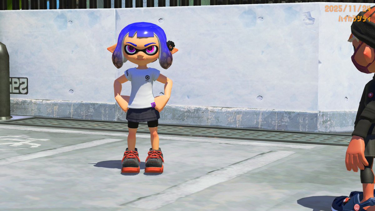 こたつねこ tweet media