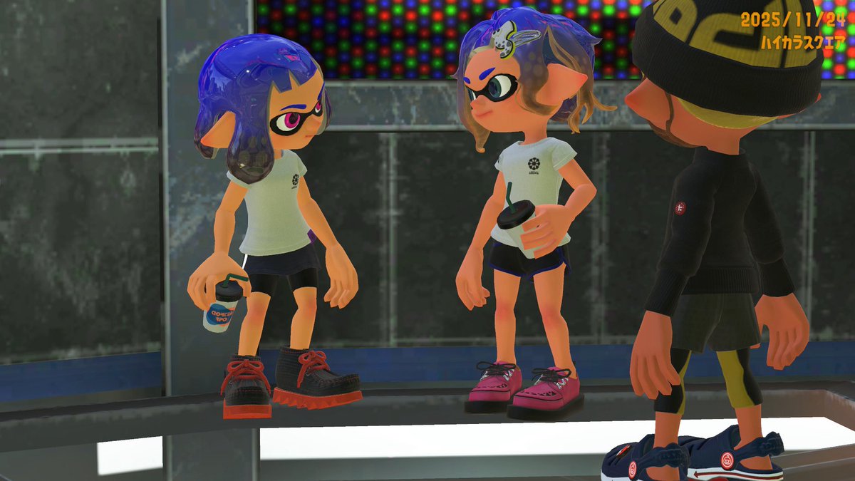 こたつねこ tweet media