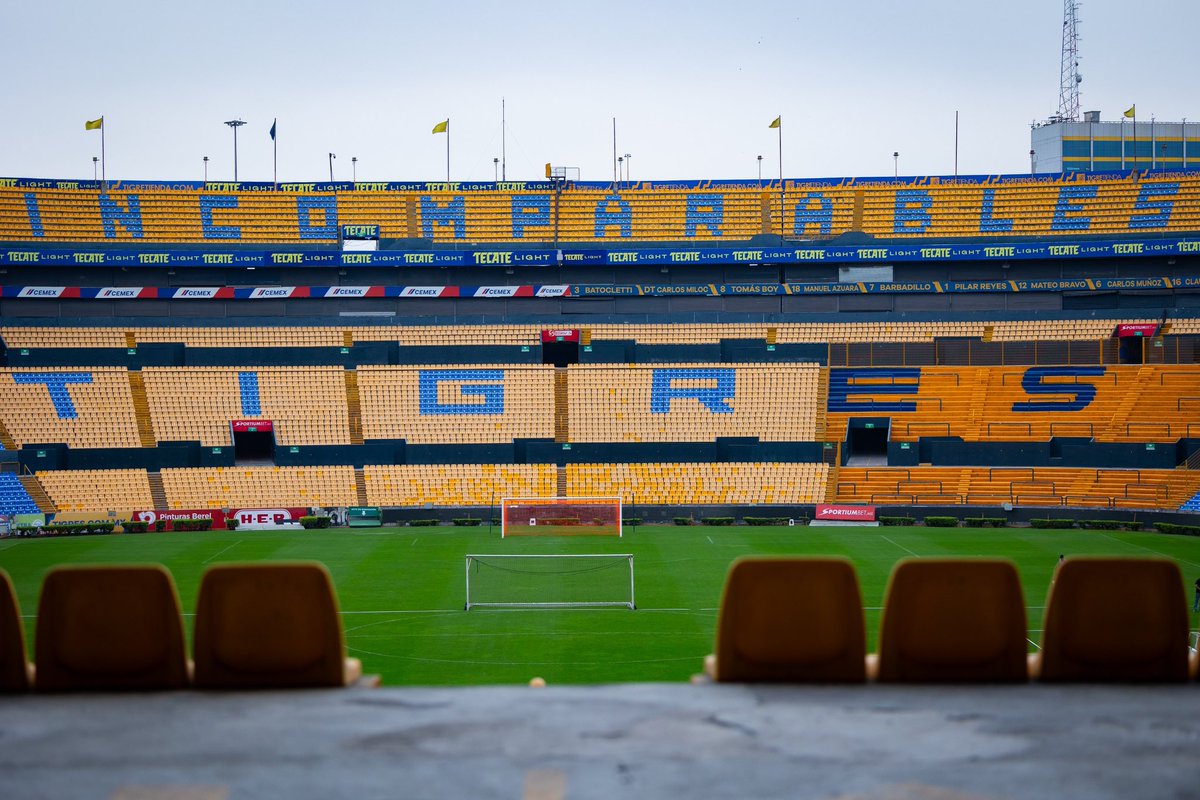 XaviSol_'s tweet photo. 🟨🟦 TIGRES UANL 🟨���

🇲🇽🔝 ¡Una institución ejemplar!

Incomparables, incansables,
incondicionales, increíbles.  

@TigresOficial ⭐️⭐️⭐️⭐️⭐️⭐️⭐️⭐️
@TigresFemenil ⭐️⭐️⭐️⭐️⭐️⭐️⭐️ https://t.co/IGI3nbSGkf