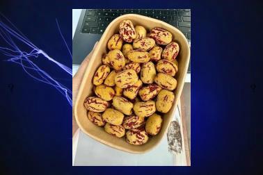 ppkrubbb's tweet image. 🕍Night stars, count and clear.🚗Hot cocoa, marshmallows.