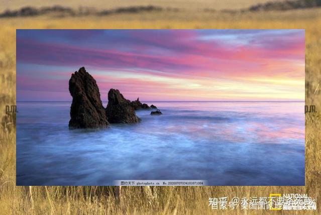 BiWASARA's tweet image. 🚇Seagrass sways in ocean’s slow dance🥿Milk foams, softly.