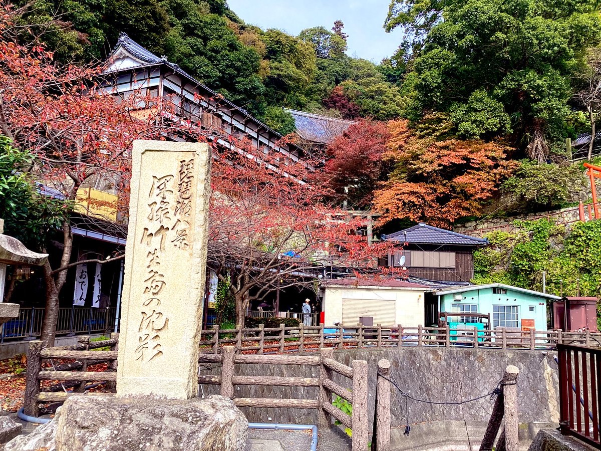 OHMImarine_0619's tweet image. おはようございます☀️

竹生島も綺麗な紅葉を見せています‼️🍁
緑と赤のグラデーション、とても美しいですね✨

3連休も最終日！！今日も張り切っていきましょう🚢

#オーミマリン　#竹生島　#びわこ　#彦根港