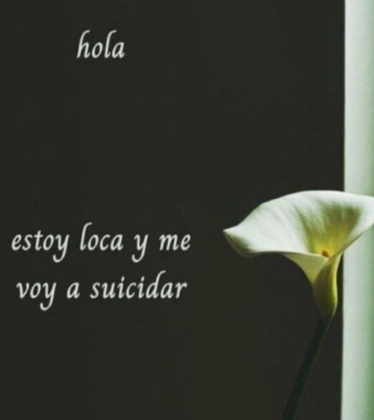 kittig4ng's tweet image. yo