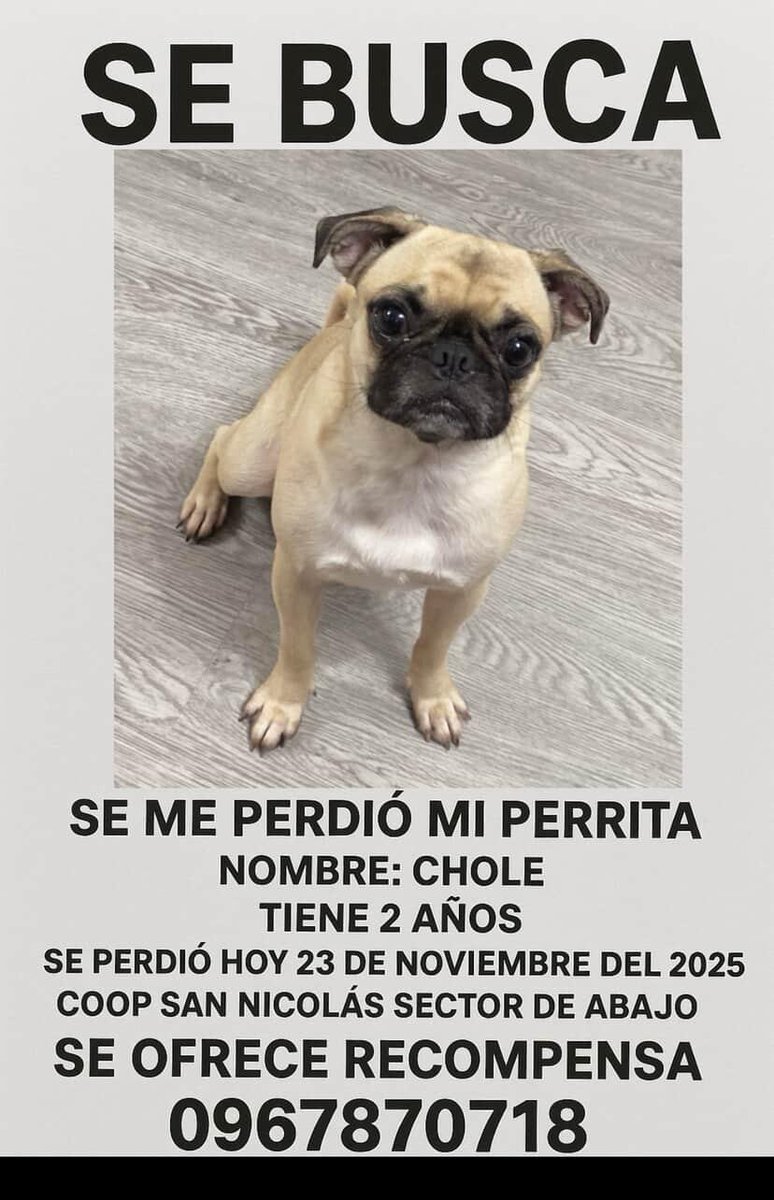 #PerritoPerdido
Ayuden a compartir por favor, gracias