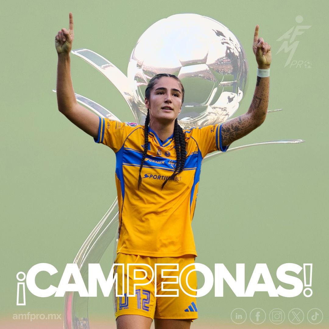 AMFproMX tweet media