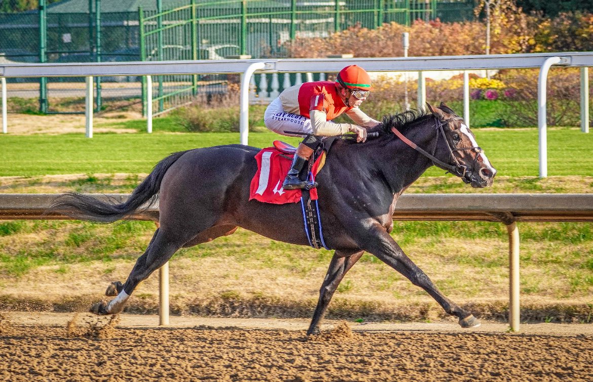 Bourbon Lane Stable tweet media