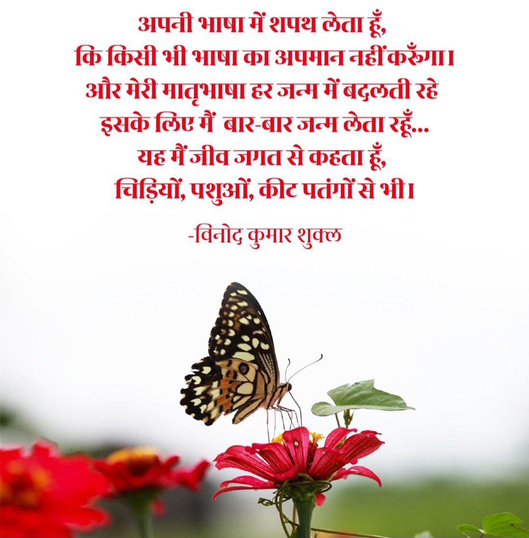 DrMahen_51's tweet image. भाषा का सम्मान ज्ञान और संवेदनशीलता दोनों को नए आयाम देता है।

#MorningMotivation #LanguageDiversity #RespectAllLanguages  #InspirationDaily
