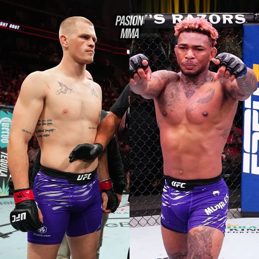 Martys Hairline tweet media