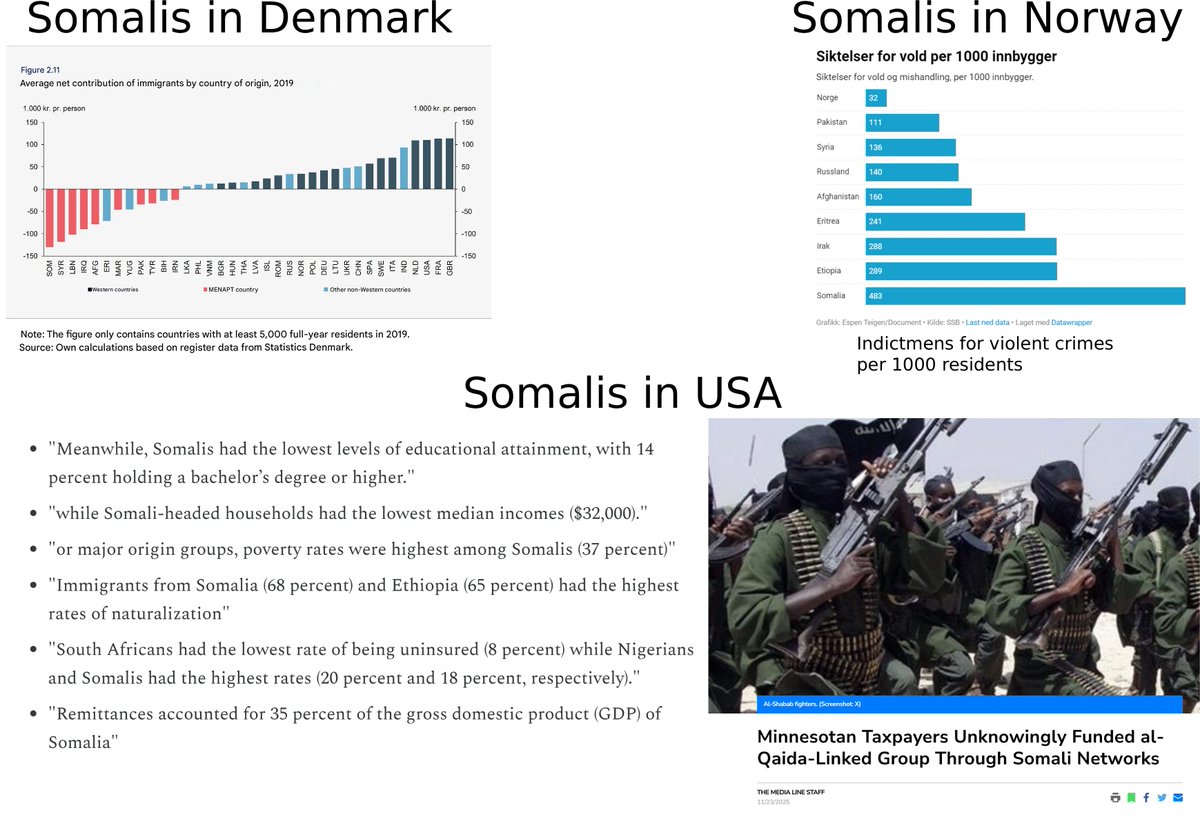 KirkegaardEmil's tweet image. (more) Somalis in your country: what to expect?
