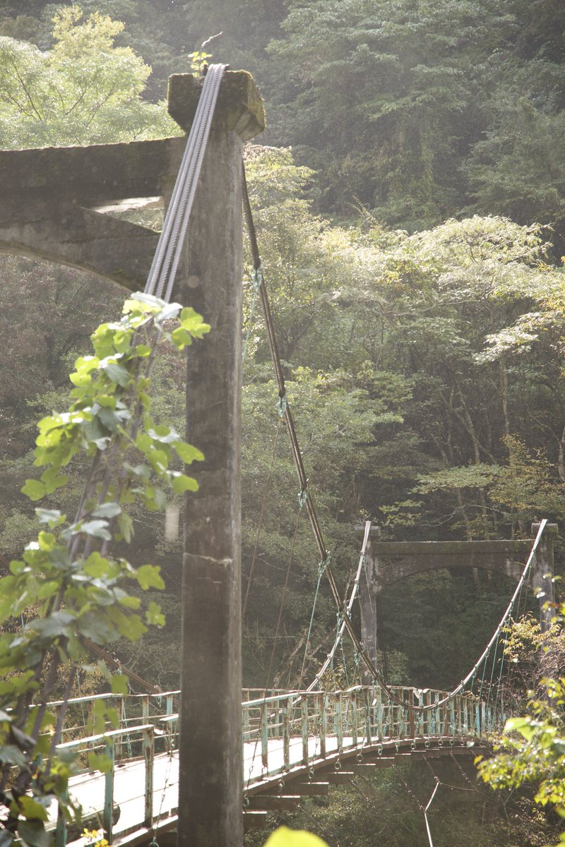 S38Qq9's tweet image. #写真
#EOSR6MarkII