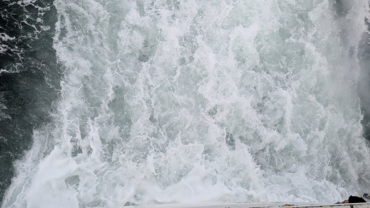 ななしのとしあき⚖👑❤️‍🩹🌂 (@nanash_toshiaki) / Posts / X