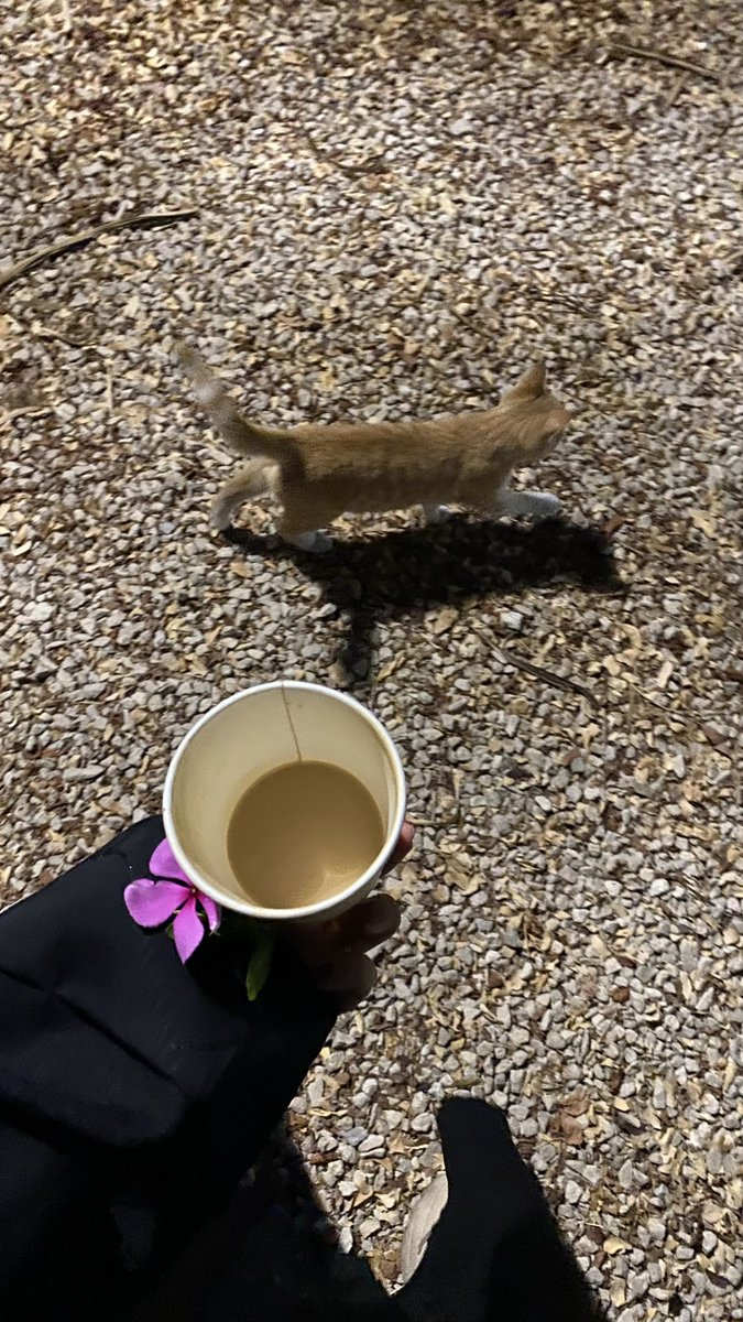 A0im7's tweet photo. https://t.co/KyDki4gzYA