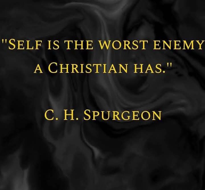 5 Solas (@5solas2) on Twitter photo 