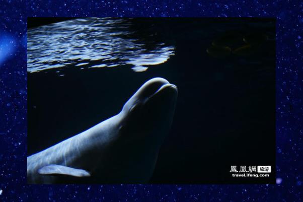 Extheme's tweet image. 🦪Forest visiting, calm found. Peace.📜Morning jog, heat