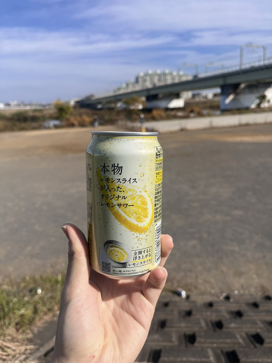 cucumber_man551's tweet image. 多摩川を眺めながら