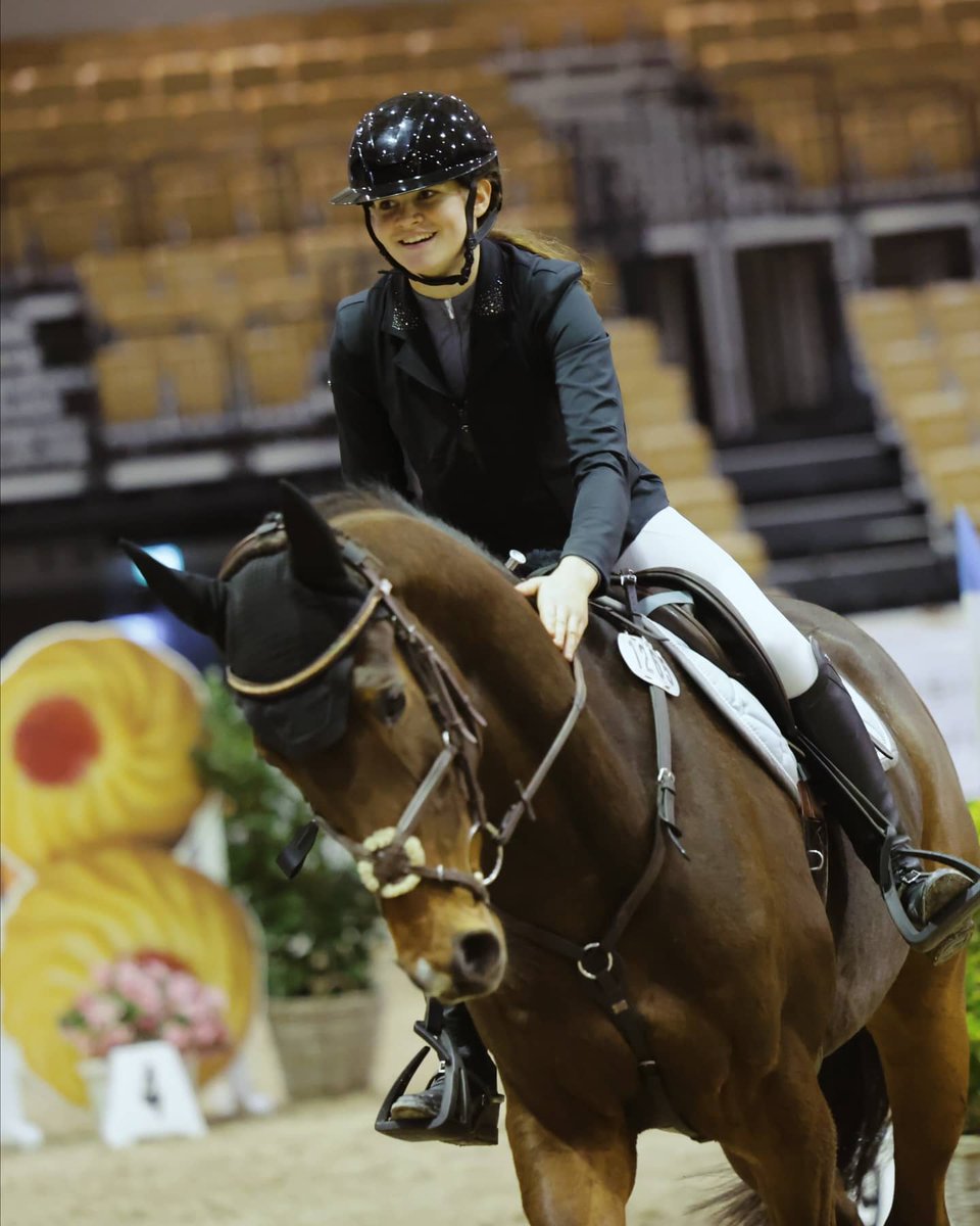 HorsewebDe's tweet image. Fünf Tage lang waren Pferde das Haupt-Thema in den Holstenhallen. Das CdS-Turnier machte den Auftakt, jetzt folgt der Trakehner Hengstmarkt. (Foto: Luther/ Photo-Rocket) #springsport #holstenhallen #turnier
horseweb.de/2025/11/24/hol…