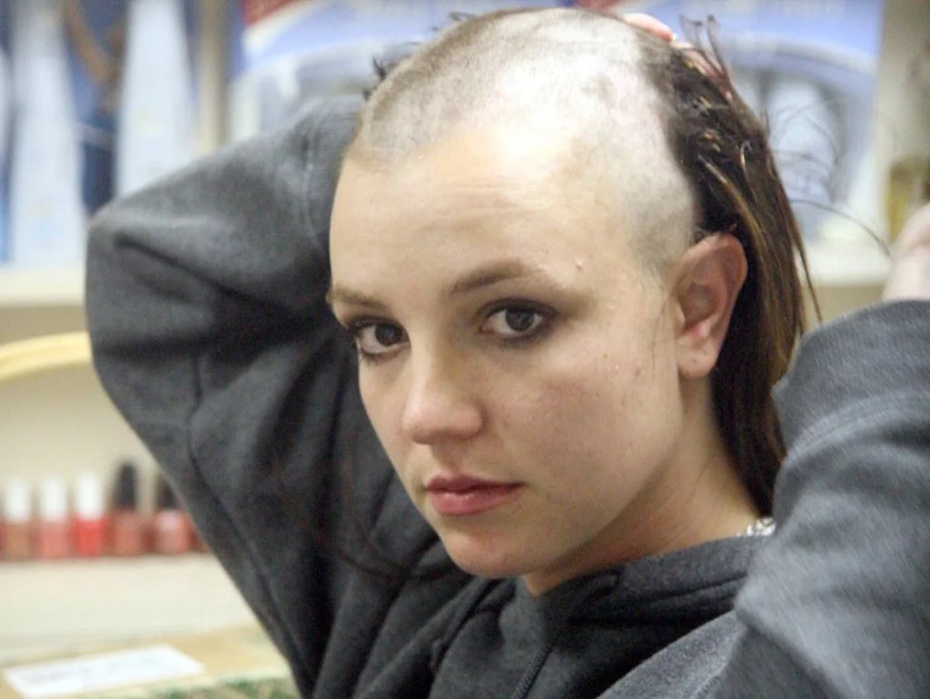 aquilesxzpp's tweet image. qual é o animal preferido de voces?

me: urubu da cabeça vermelha