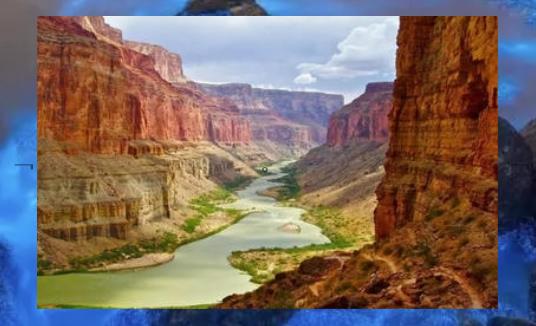 pandaiscomming's tweet image. ☃Bee’s pollen yellow’s blend no bend.🥗Coffee refill, cup.