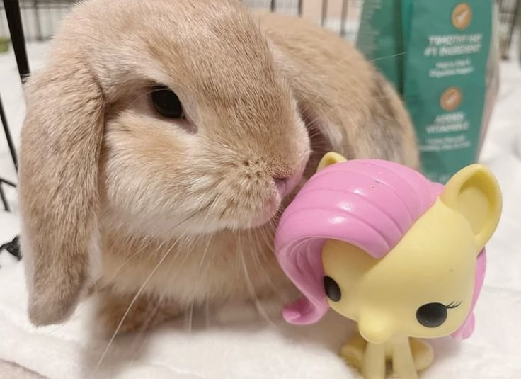 feltalluring's tweet image. 