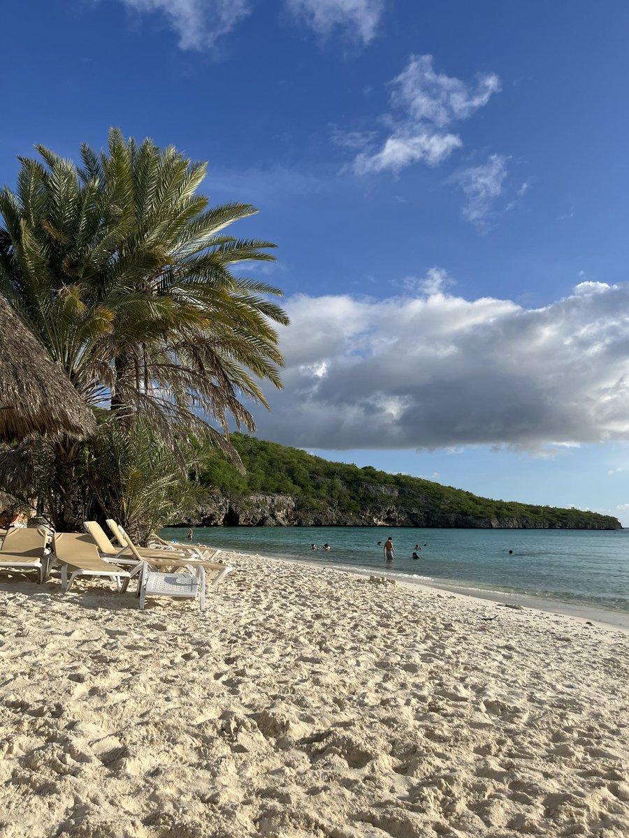 cryptoblaney's tweet image. Touching sand as my $ANONCOIN bags are packed