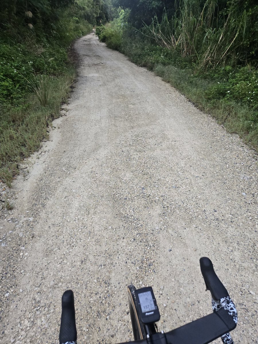 AtsuyukiShimojo's tweet image. 最短ルートかもしれんがコレは､､､
#GoogleMap