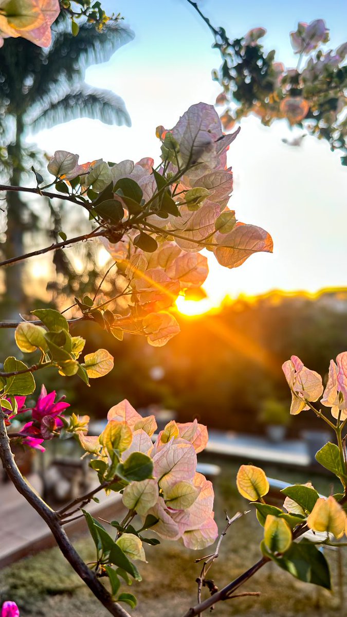 _Jessi_0001's tweet image. A gentle rise can be just as powerful as a loud one. Happy new week 💞