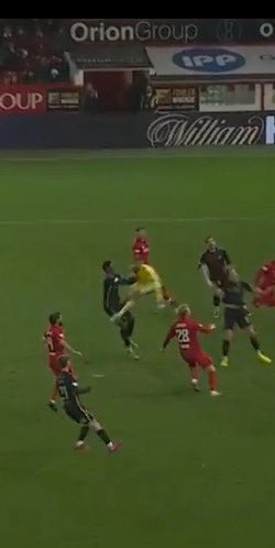 Allan Davidson tweet media