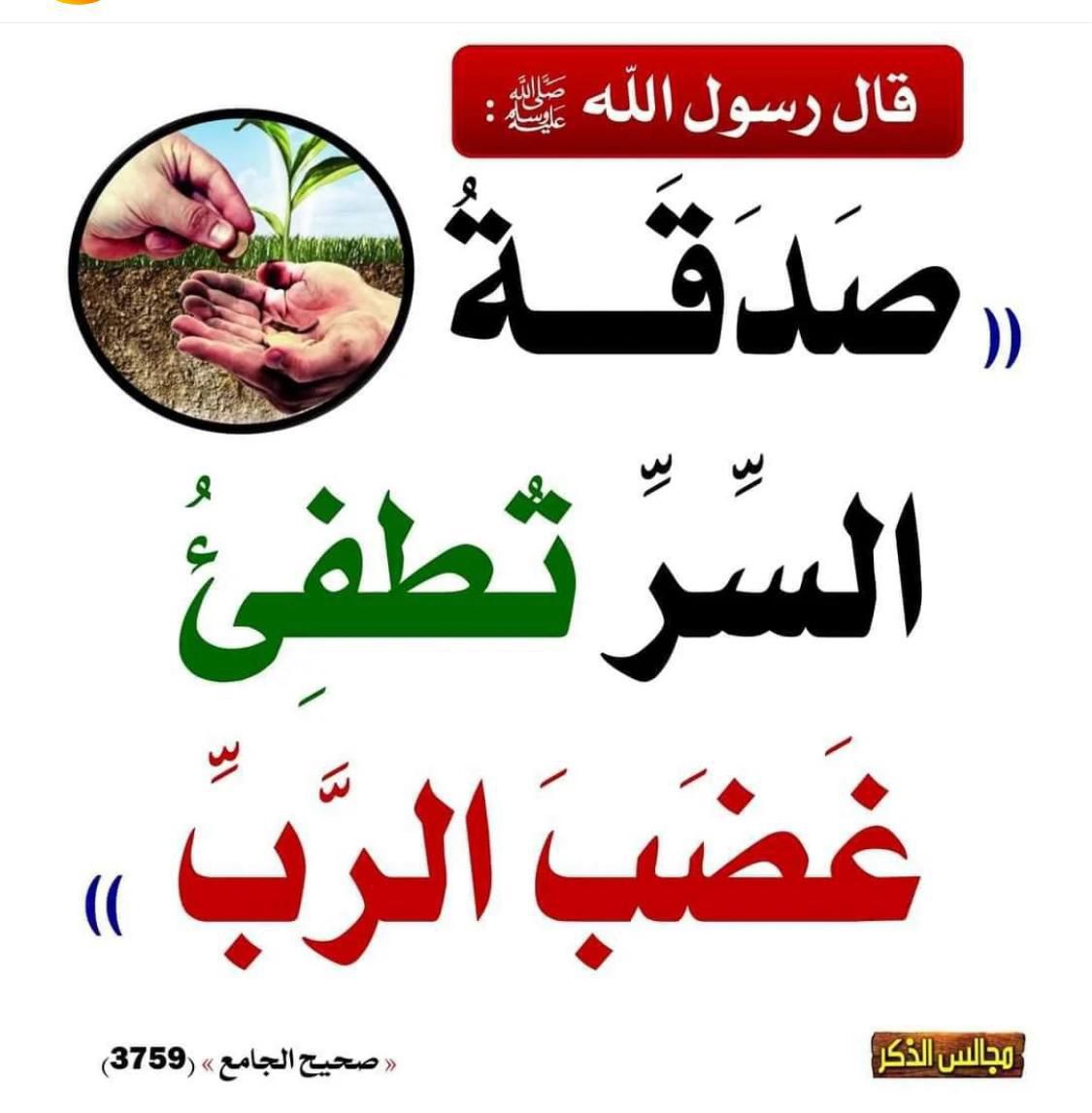 bo_rashed71x's tweet image. 