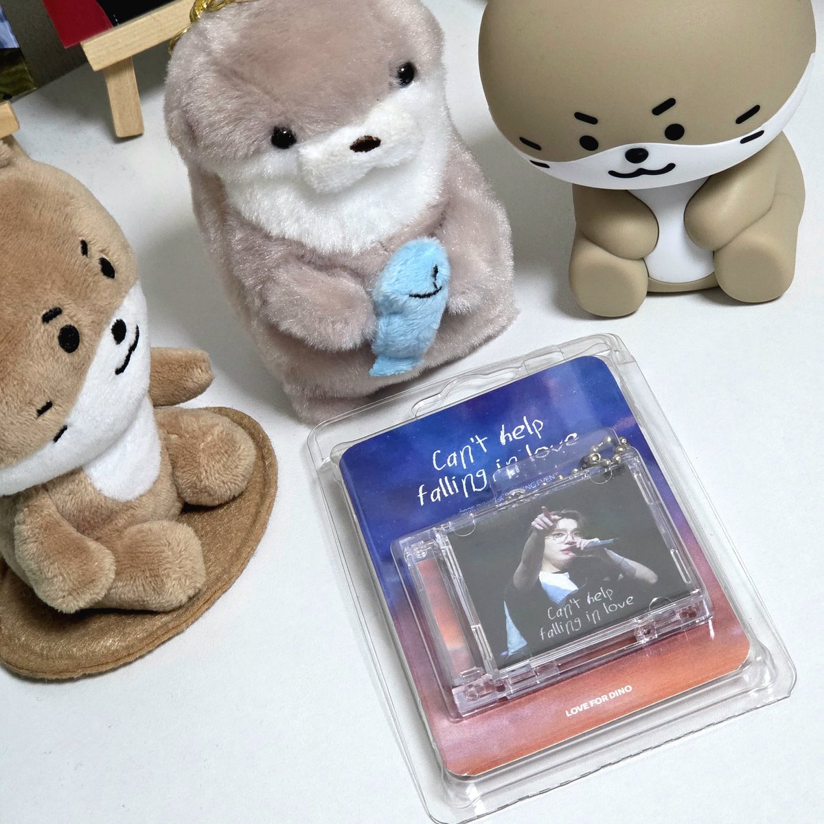 🎉디노 Wait 2주년 축하🎉
너무 이쁘고 멋있는 디노 영상이 가득한
2025년 디노 영상회 NFC키링이 2개라서
이 글을 Rt한 1명에게 나눔합니다! 

Wait 2주년 축하해주세요🥳

💎캐럿한정
(거래, 알티,구독계 제외)
💎Gs반택수령 가능한분

당발 11월27일 오후 디노시❤️
#Rt #캐럿이벤트 #Rt이벤트 #디노