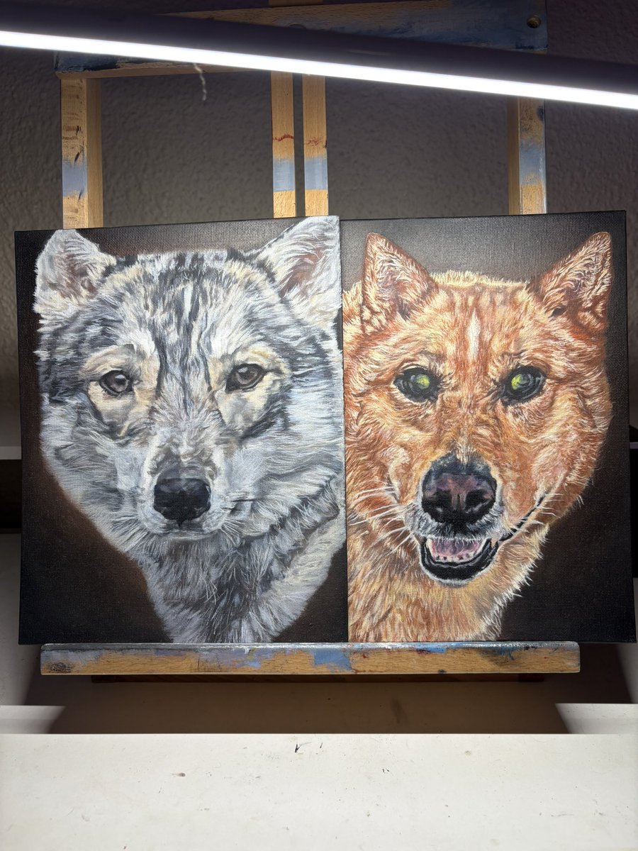 Lippie McGuire tweet media