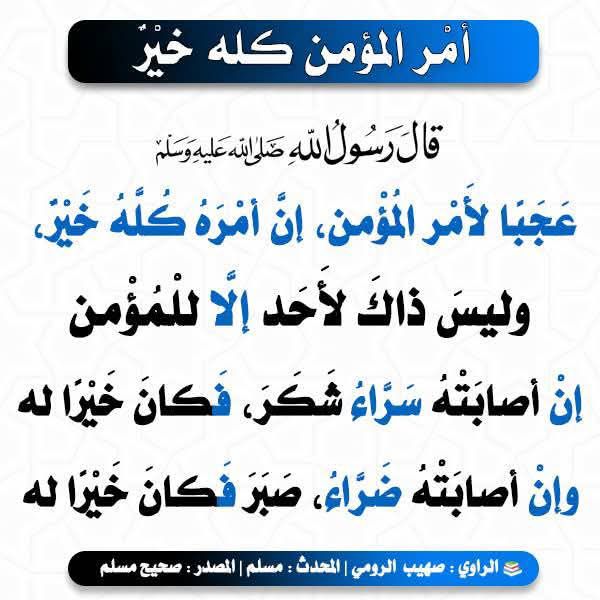 bo_rashed71x's tweet image. 