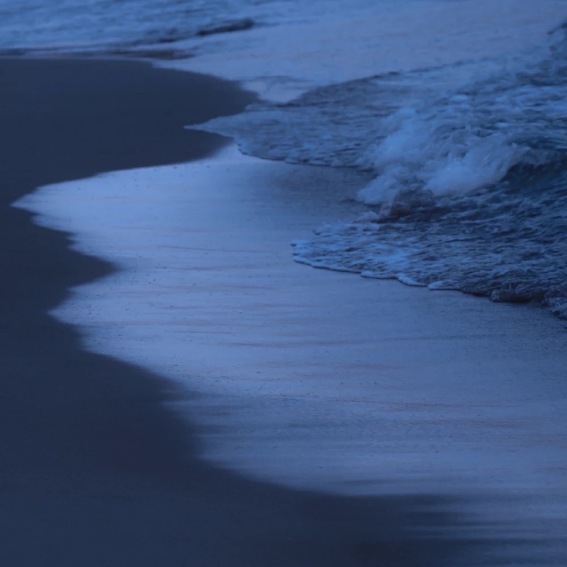 delphoud's tweet image. Require focus stage eight.This happiness is cheered.Is this share-worthy? We think so, and we hope you do too.