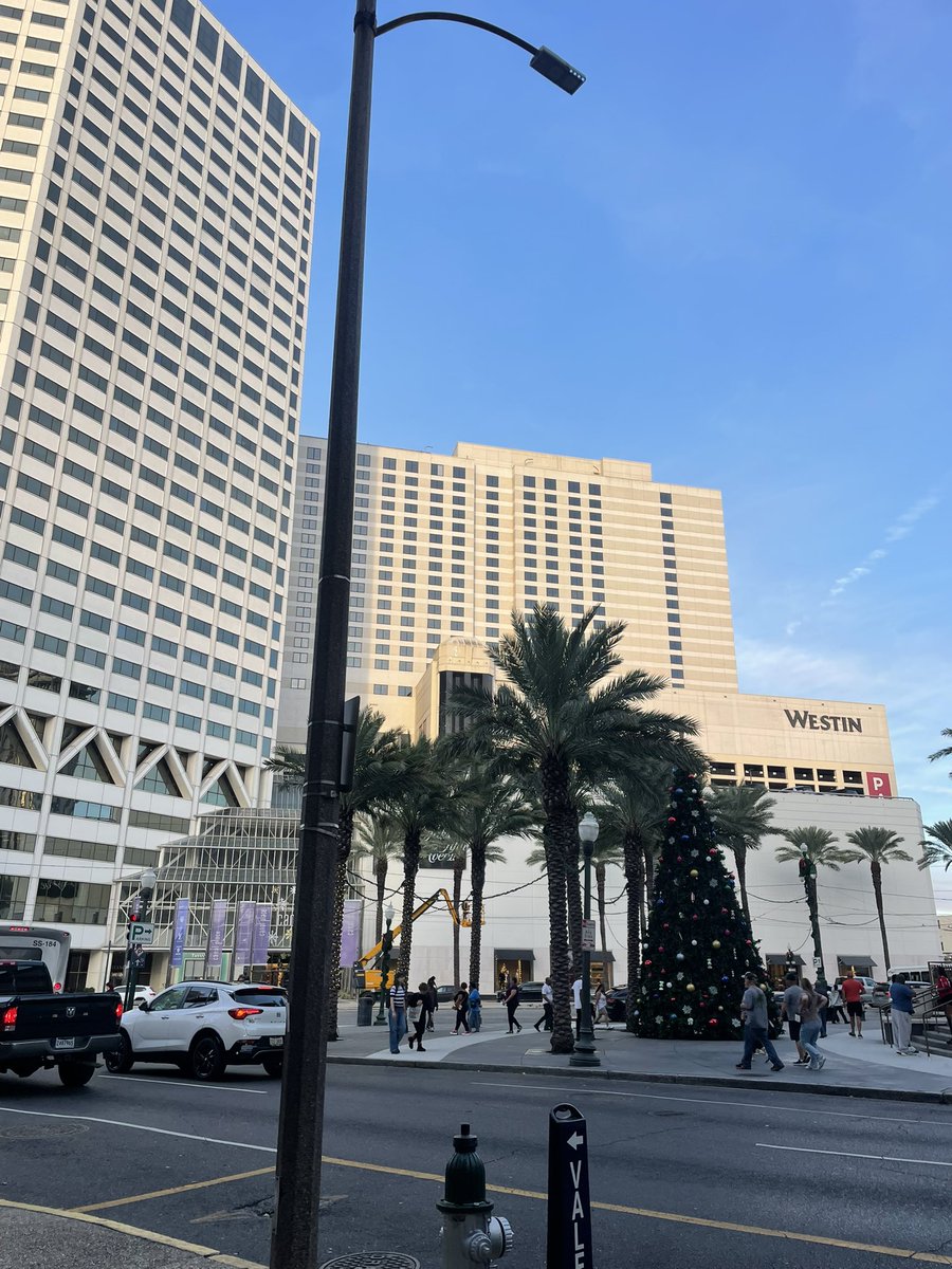 Emma O'Brien tweet media