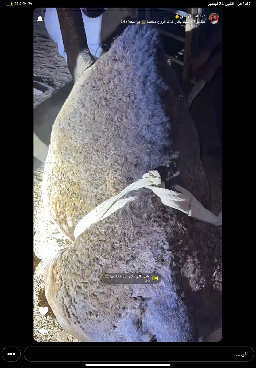 ᷂ ᷂نوره ᷂القحطاني ✮ tweet media