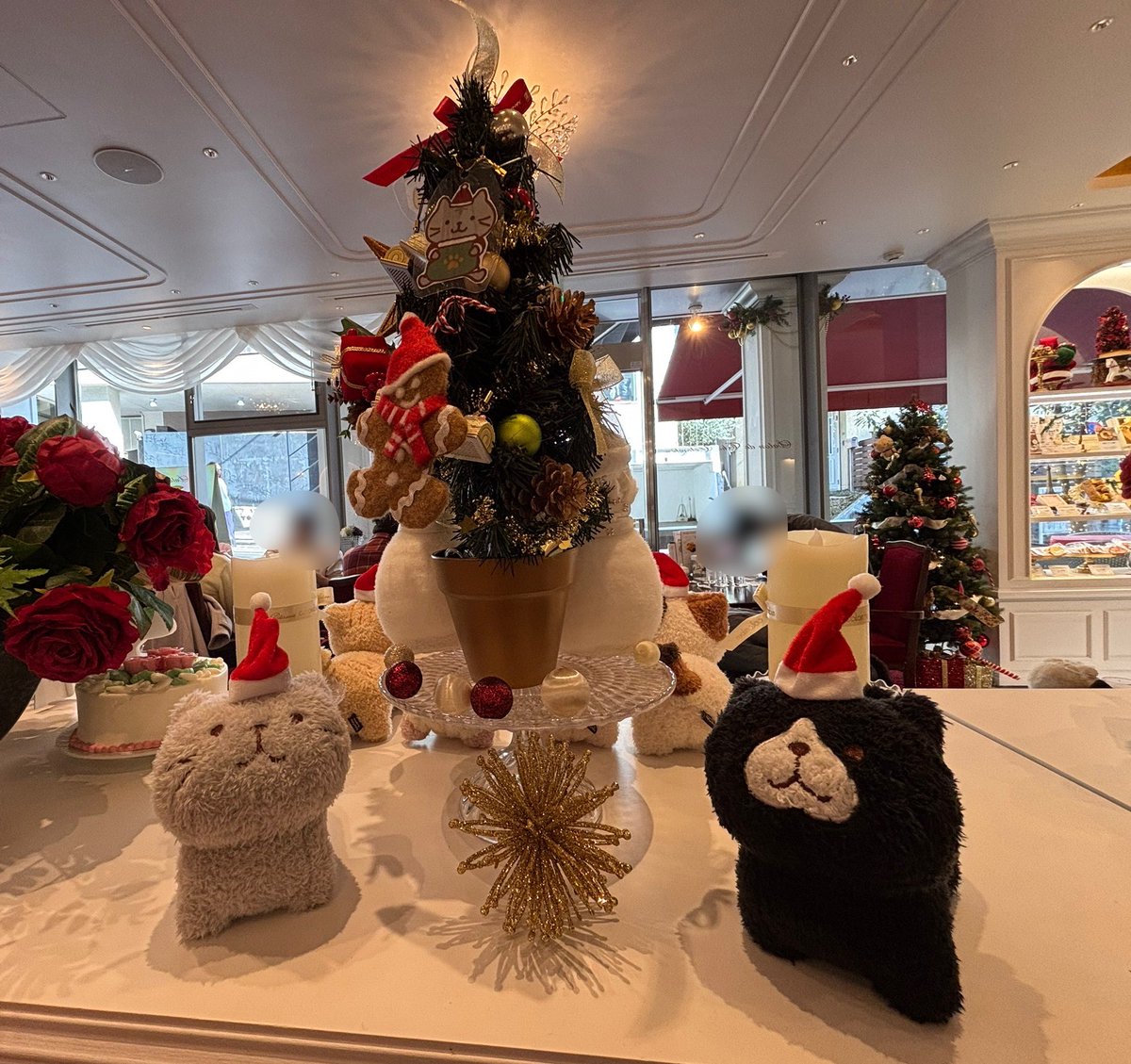 john20120614's tweet image. かわいかったはにぃ〜
#ふくふくにゃんこ
#コロンバン