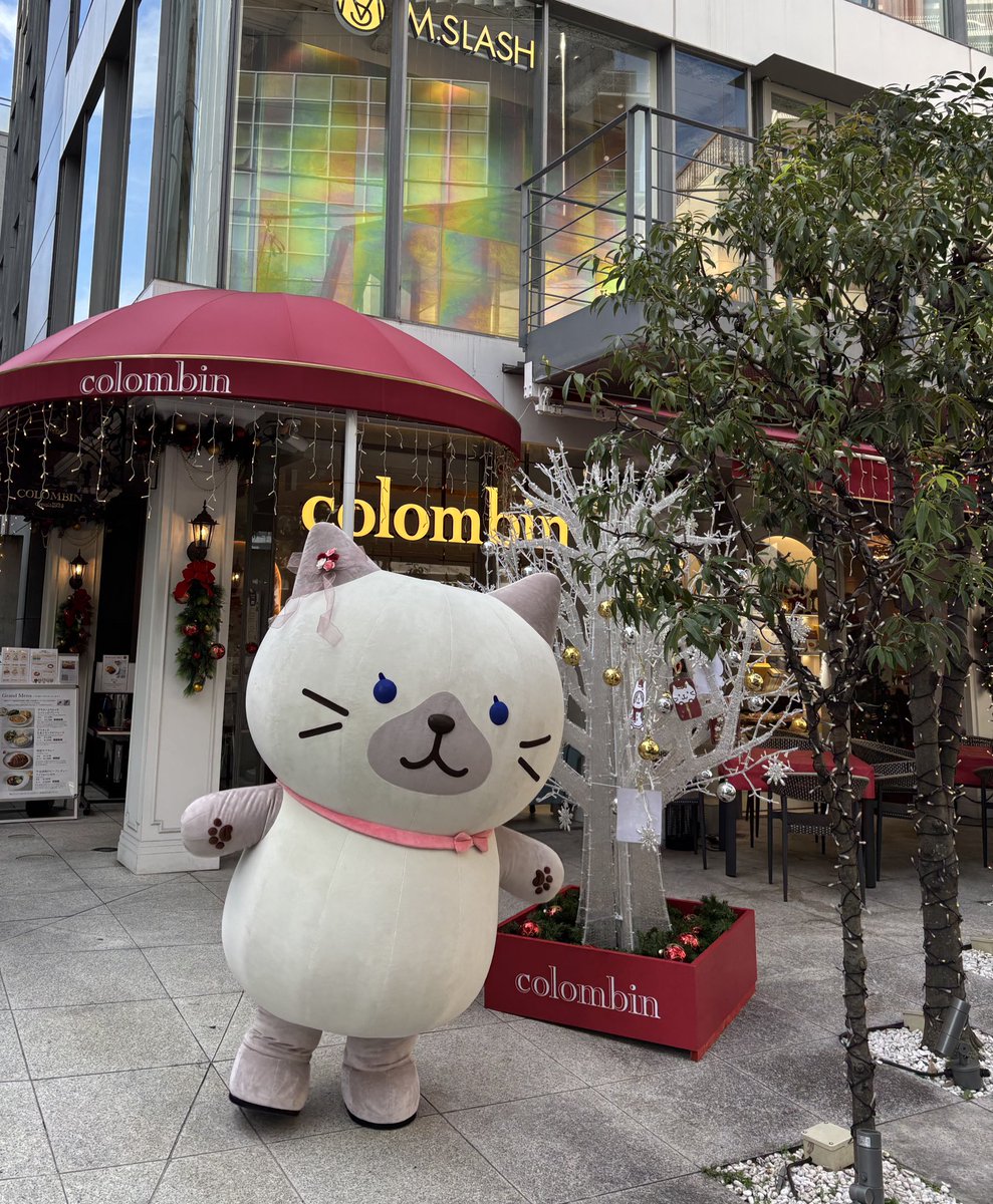 john20120614's tweet image. かわいかったはにぃ〜
#ふくふくにゃんこ
#コロンバン