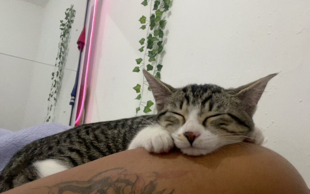 thinkspc's tweet image. te amo bebê