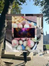 170928🏆638995292127512272_68Waschmaschine Quickwash programm nutzen 🧺⏱️