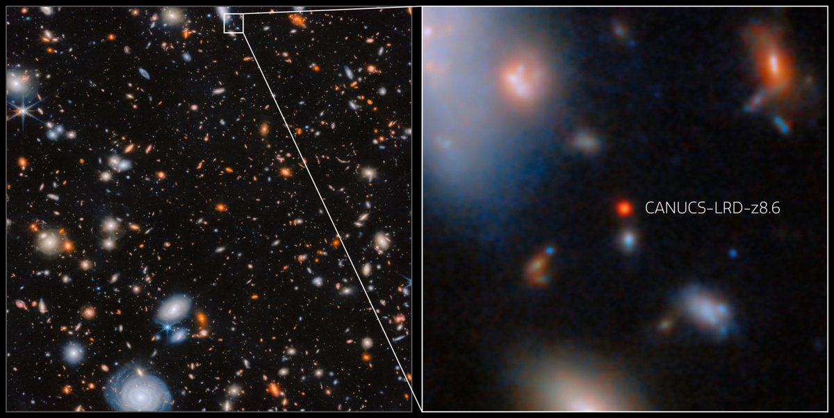 🚨 JAMES WEBB JUST FOUND A BABY UNIVERSE WITH A FULL-GROWN MONSTER INSIDE

The James Webb Space Telescope has a talent for humiliating our cosmic textbooks, but this time it went full disrespect:

It spotted a galaxy from 570 million years after the Big Bang… hosting a black