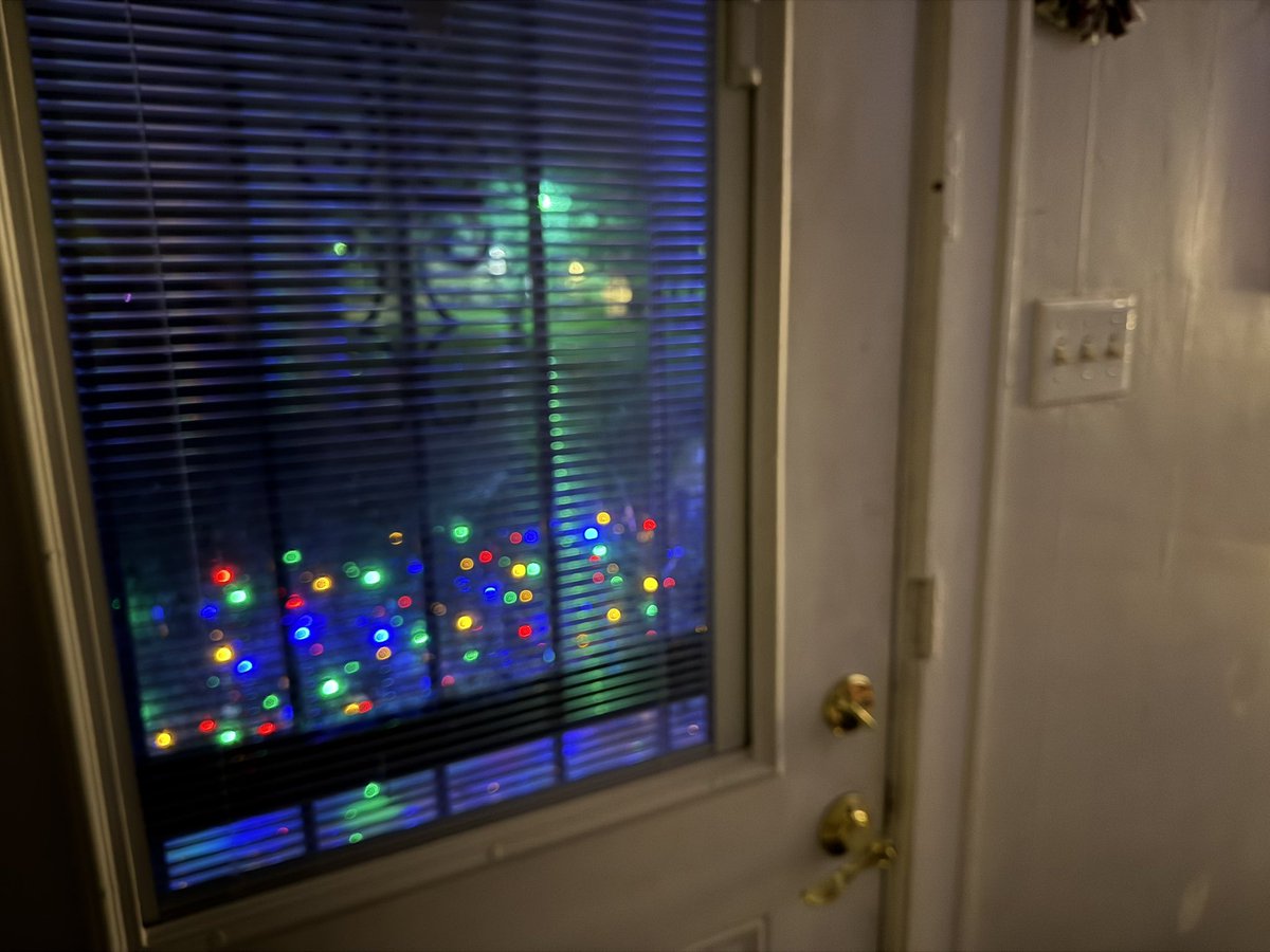 put up Christmas lights and was like wow I’m an adult with a home