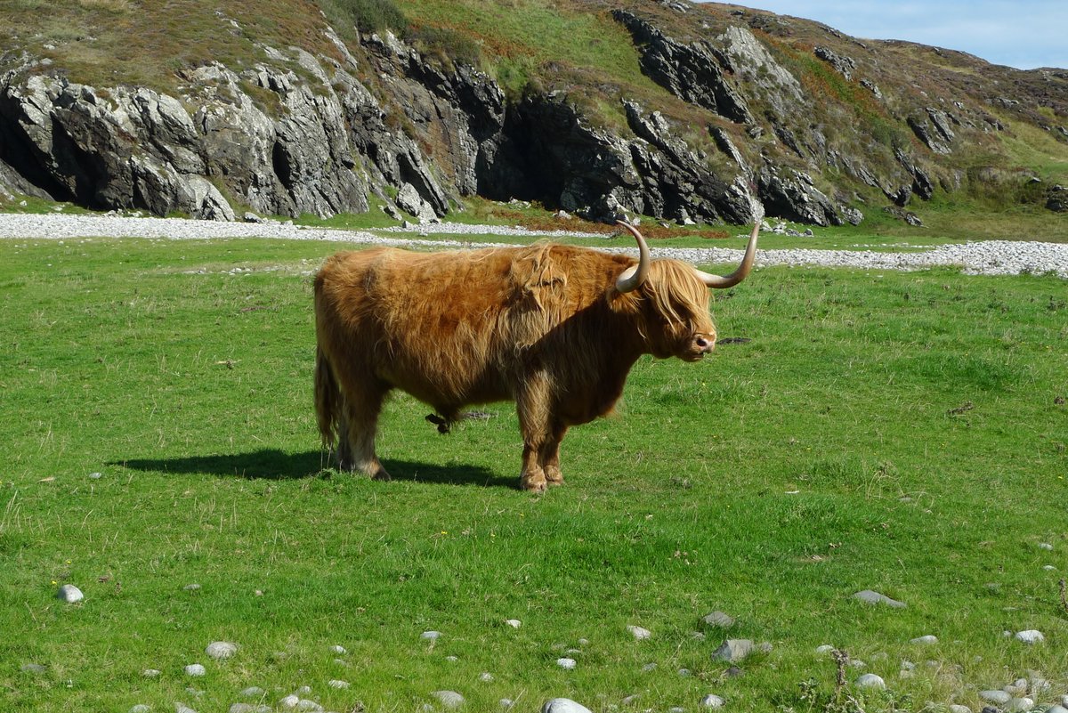 The Cycling Scot tweet media