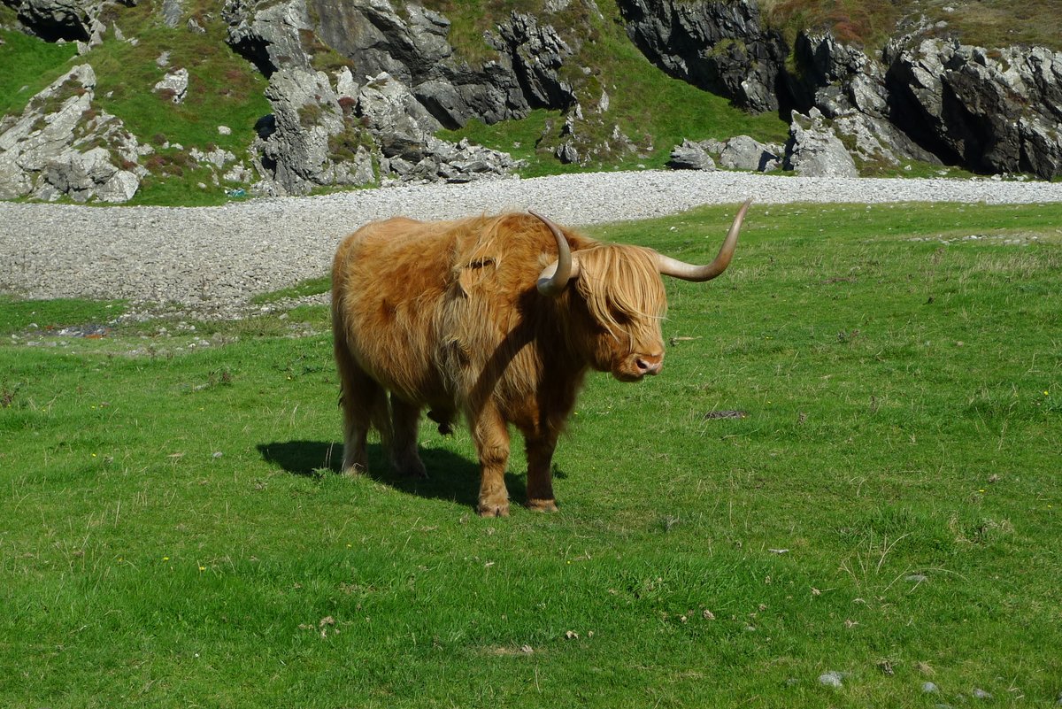 The Cycling Scot tweet media