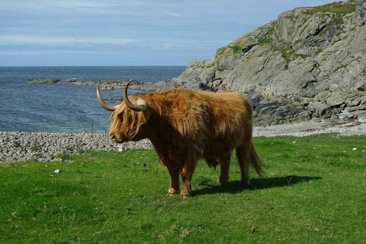 The Cycling Scot tweet media