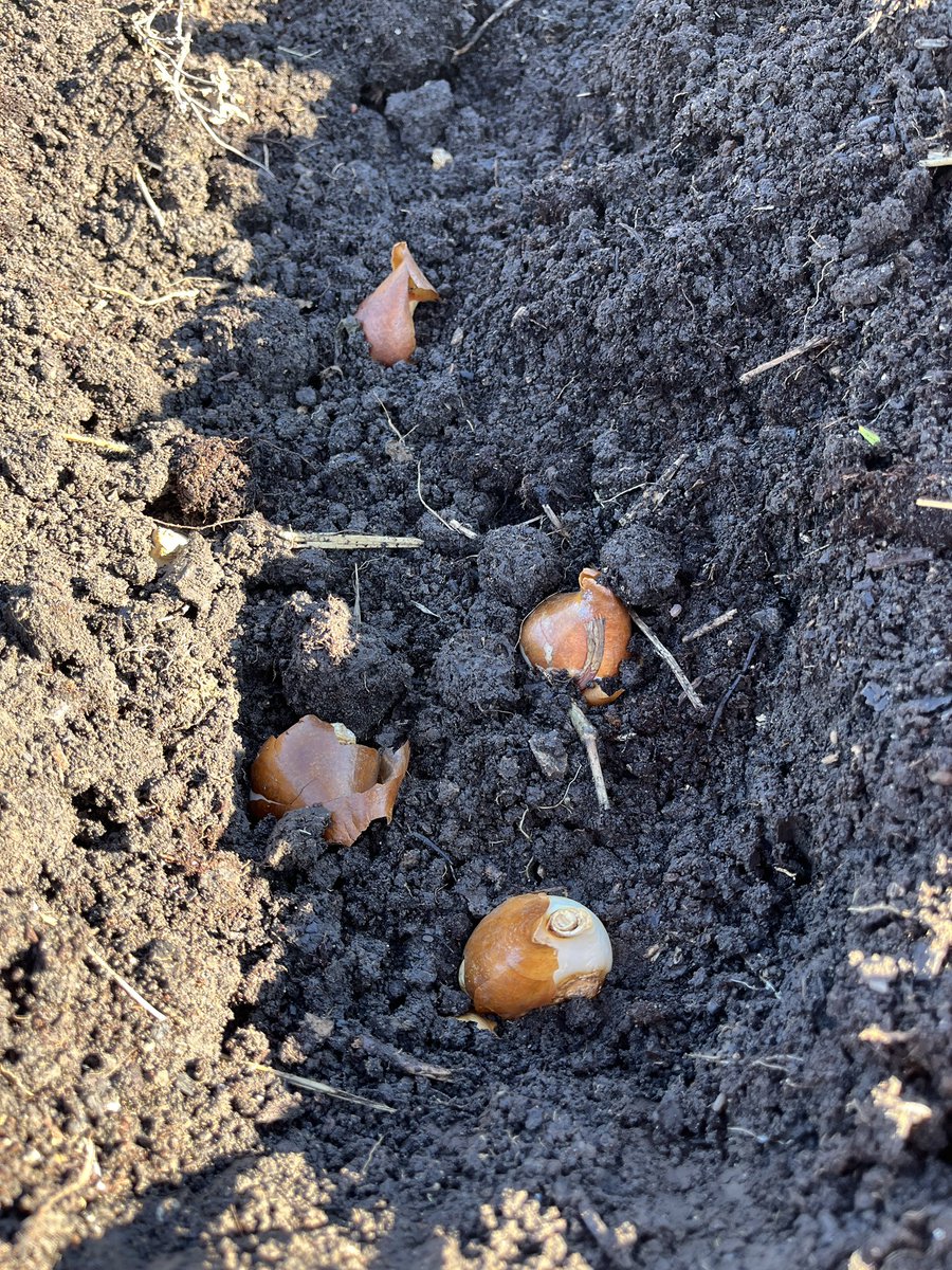 Kelly Rawlings, MPH, PWD tweet media