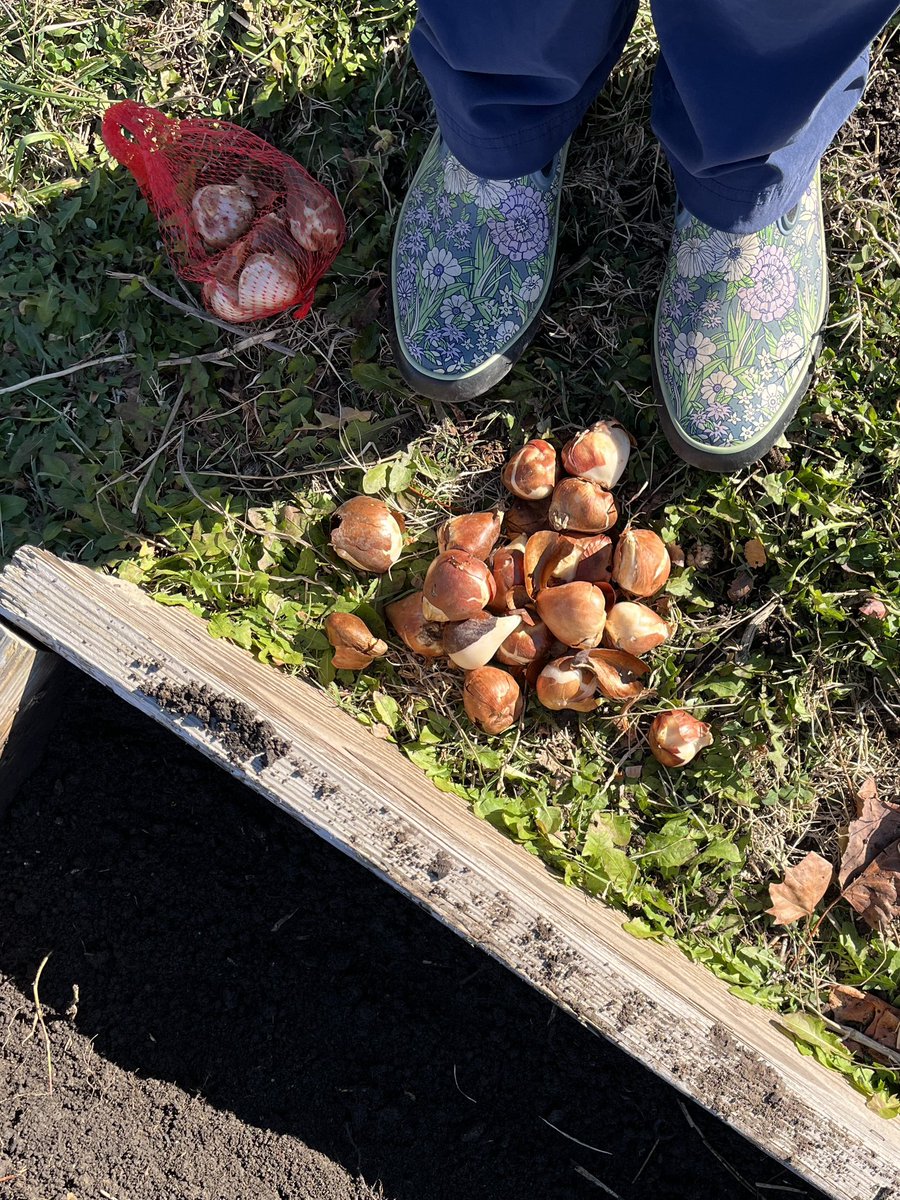 Kelly Rawlings, MPH, PWD tweet media