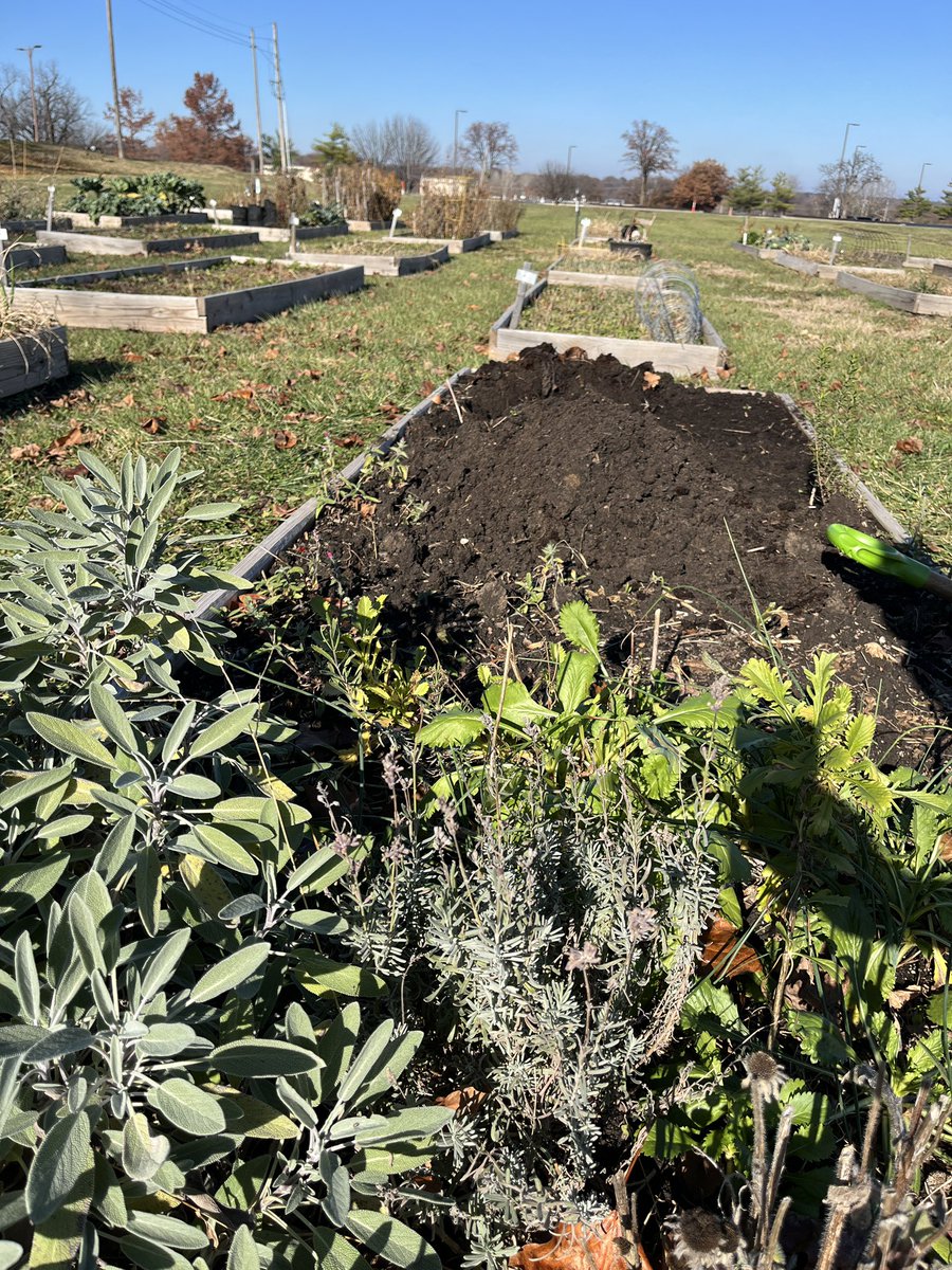 Kelly Rawlings, MPH, PWD tweet media