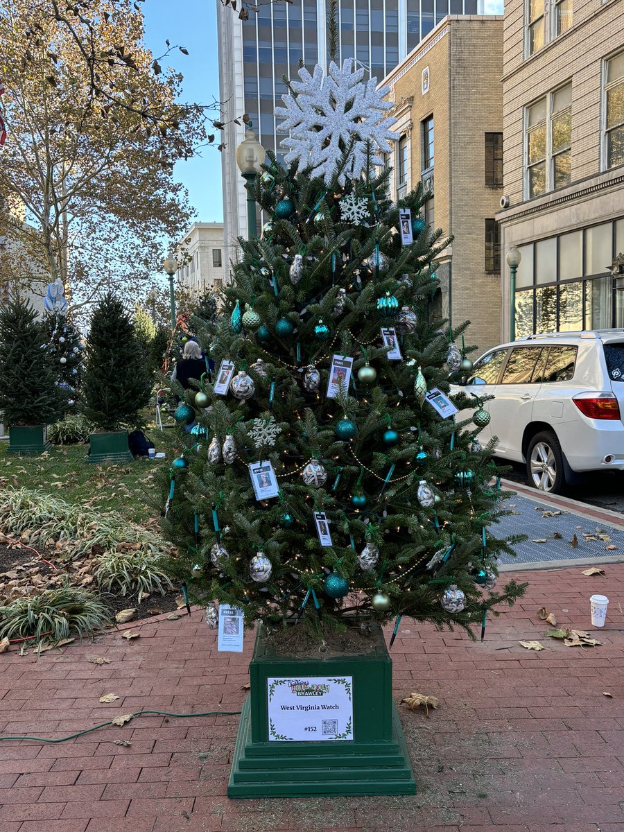 Amelia Knisely tweet media