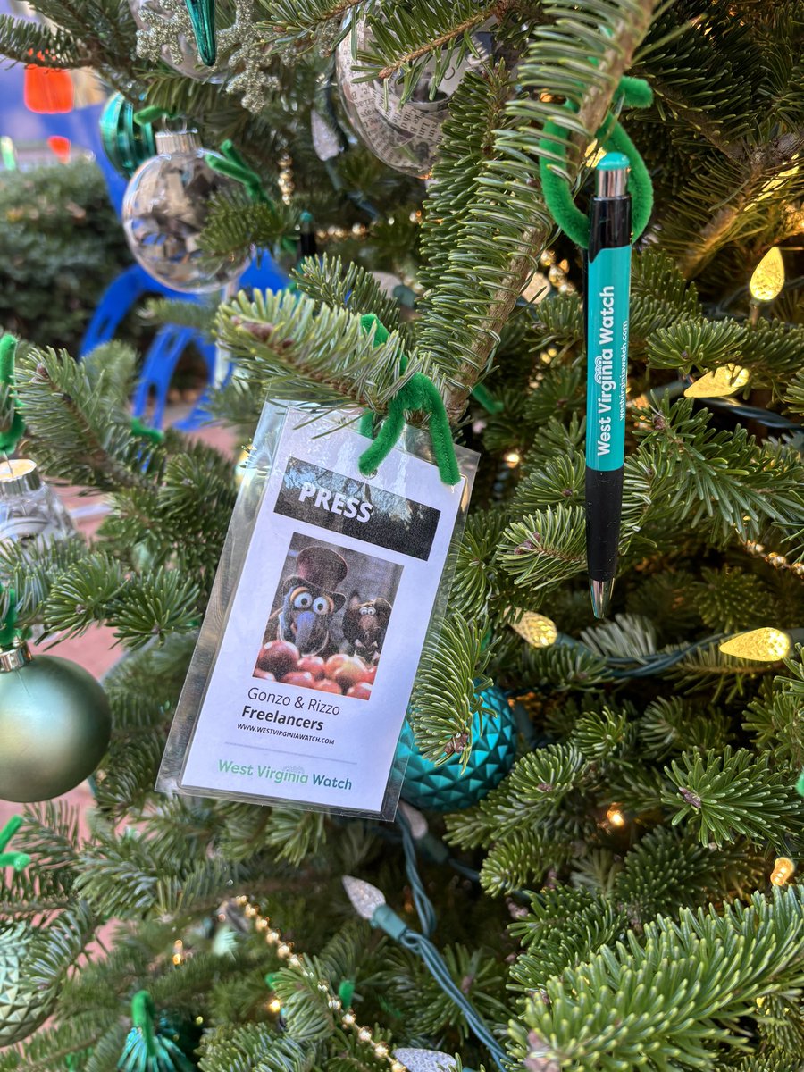 Amelia Knisely tweet media